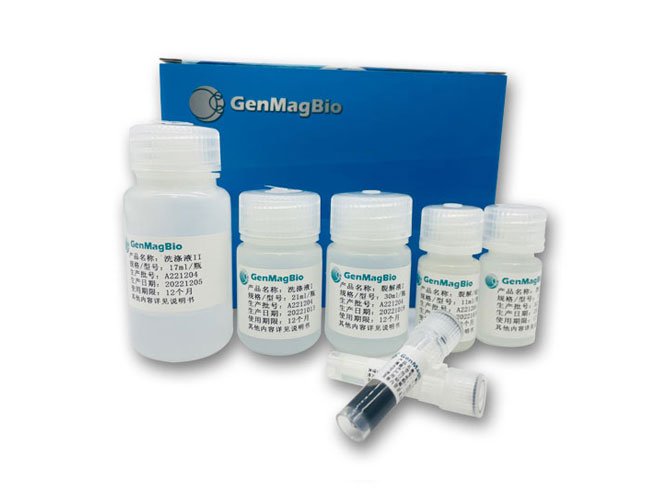 人乳头病毒(HPV)核酸提取试剂盒（磁珠法）